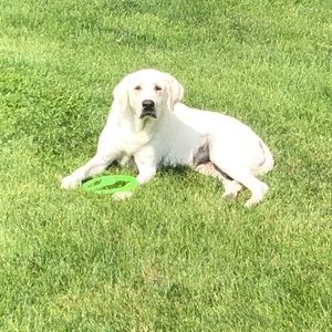 Meet your Posher, Ann